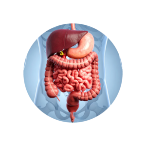 Gut Issues